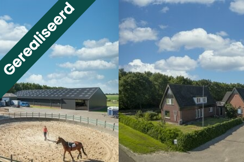 Een bedrijfswoning met paardenstallen voor eigen gebruik