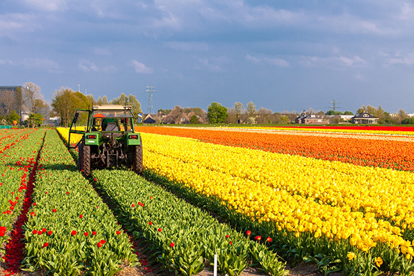 Directe lening agrarisch-home