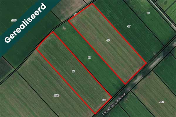 Hypothecaire lening op twee percelen cultuurgrond met een grootte van 4,254 hectare bestemd voor eigen gebruik